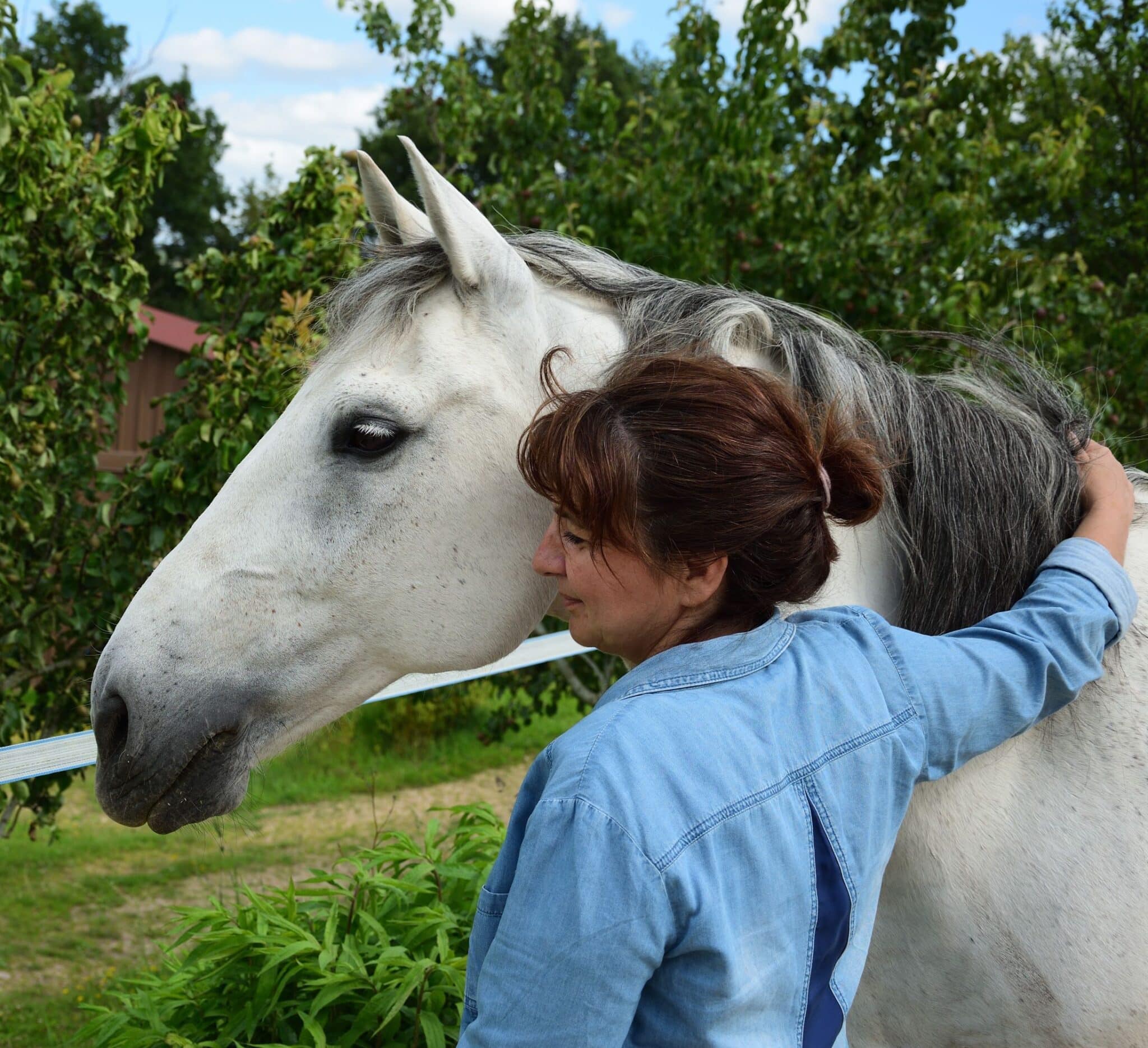 Dp Esprit d'Equidé - Appuy créateurs